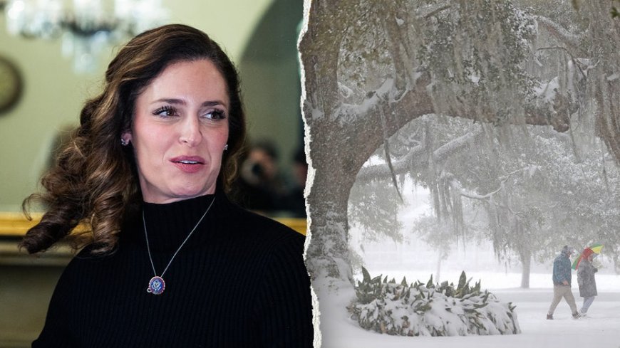 Louisiana GOP lawmaker urges FEMA aid for 'hurricane'-like ice storm as DHS shutdown drags on