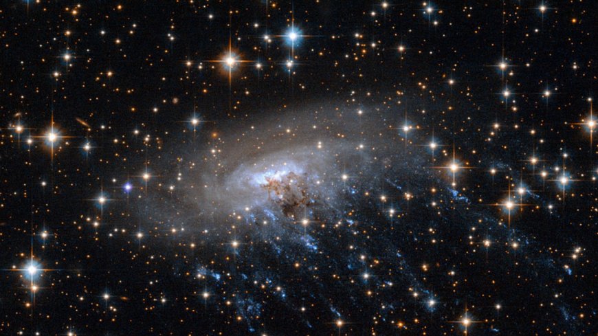 James Webb Space Telescope spots a stunning 'cosmic jellyfish' solve the mysteries of galactic evolution (photo)