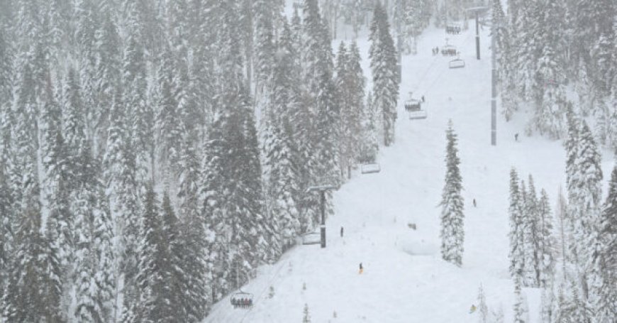 Eight Skiers Buried Alive in Lake Tahoe Avalanche: 'Deadliest in U.S. History'