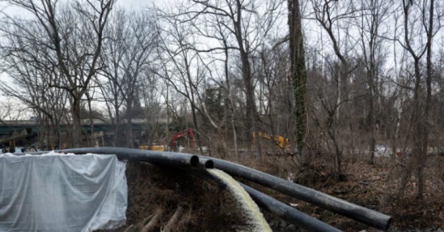 D.C. Mayor Muriel Bowser Requests Federal Support in Potomac Sewage Crisis