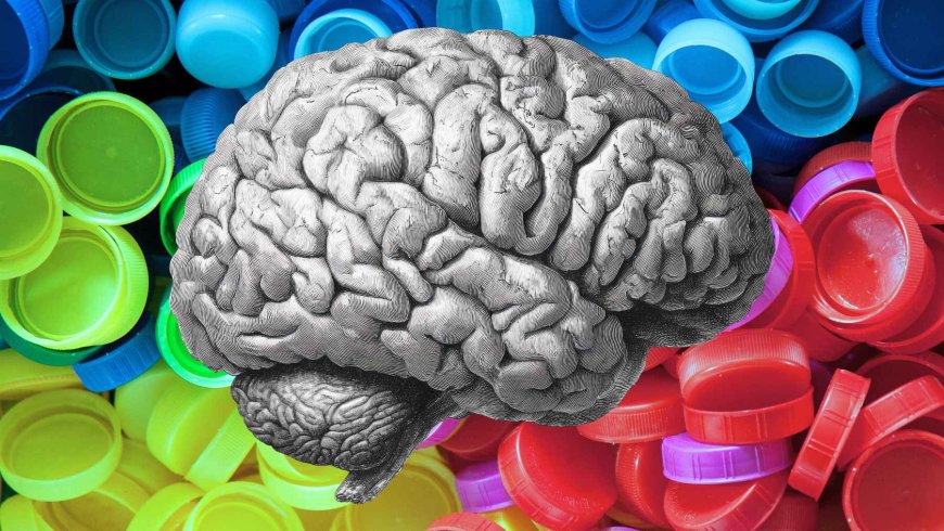 Your brain could be full of microplastics… and you don’t even know it