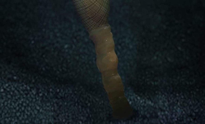 Buried Deep in China, This Weird Ancient Sponge Closes a 160-Million-Year Gap in Evolution