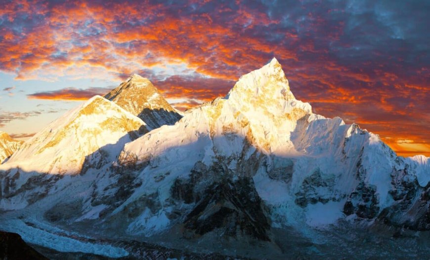 Fossils Found at 8,000 Meters on Everest Reveal an Ancient Ocean Beneath the Himalayas