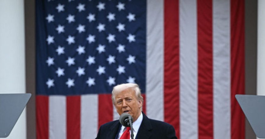 U.S. Trade Deficit Nearly Cut in Half Since Liberation Day