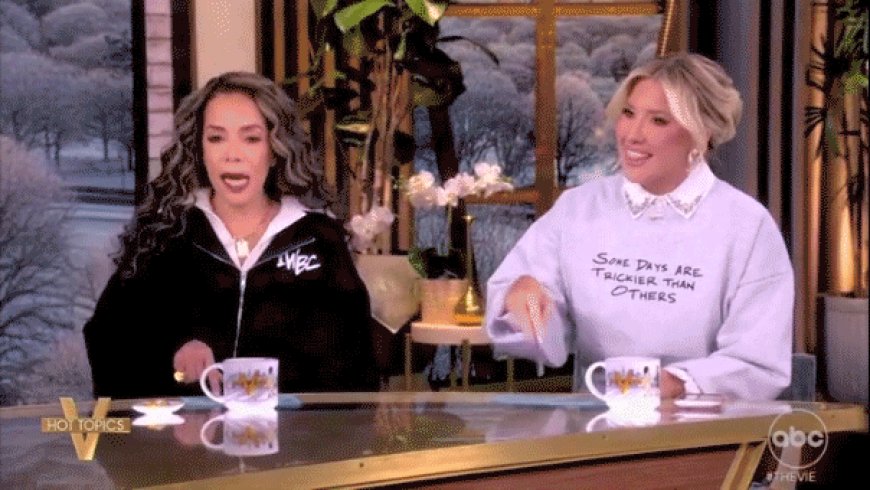 'The View' panel erupts as guest defends Trump against racism claims