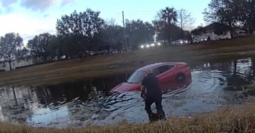 Video: Florida Police Rescue Elderly Driver Who Crashed into Pond
