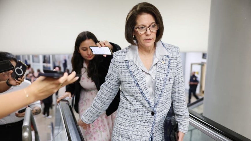 Cortez Masto admits Democrats have been 'weak on immigration,' chides Biden administration on border security