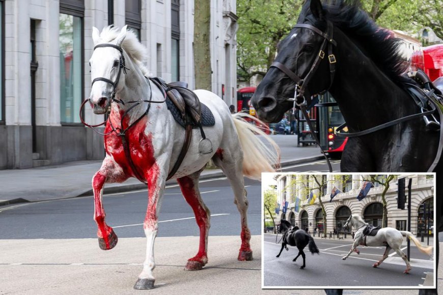 666 Days After Blood-Soaked White Horse Flees Royals, Andrew Arrested on 66th Birthday – Satanic Ritual Exposed