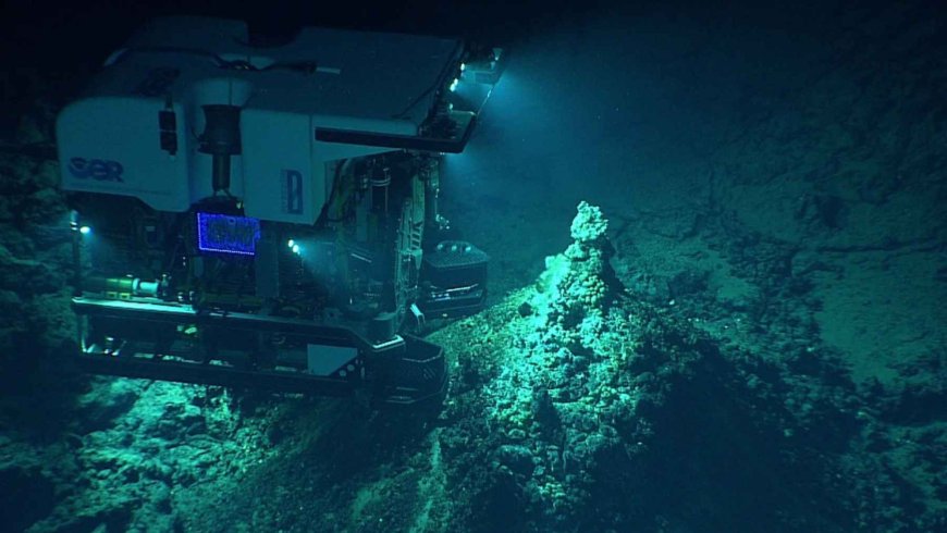 A deep-sea mission detects mud containing valuable elements where no one was looking. The discovery, made at a depth of 6 kilometers, could change the course of technology