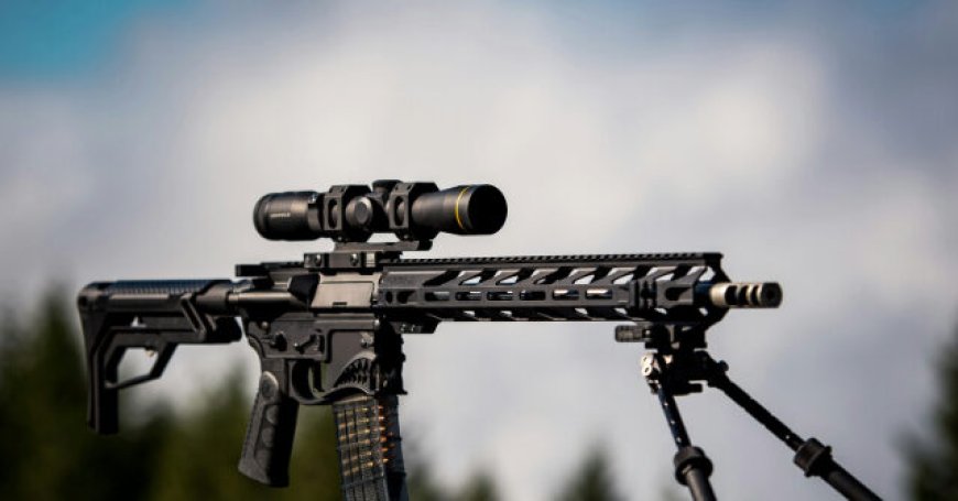 Minnesota Dems Push Prohibition Against Owning or Transferring, AR-15s and Other Rifles