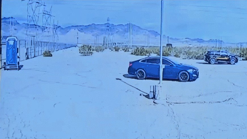 Man who crashed into Nevada substation found dead in car with arsenal in suspected terror incident: sheriff