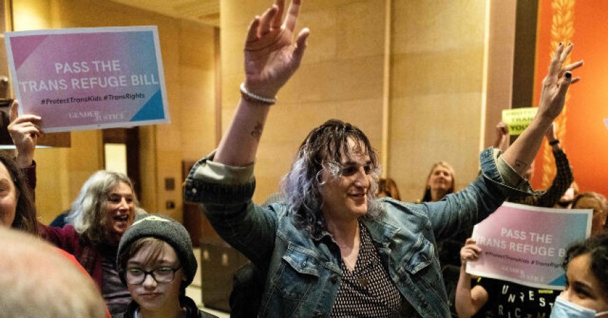 LGBTQ Infighting Erupts Over Trans Lawmaker's Claim that 'Queer' Kids Need Access to Adult Websites