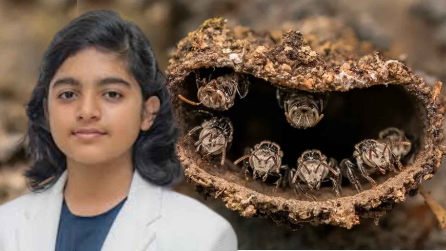 He is only 14 years old, used a 10-year-old camera, and won the world’s most important macro photography contest with a photo of bees in India