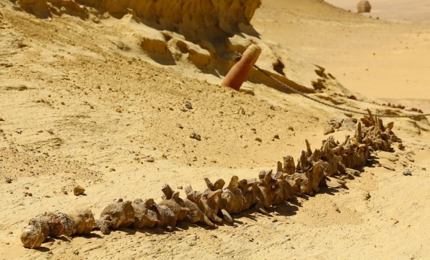 Scientists Discover New Dinosaur Fossils with ‘Weird’ Features in the Remote Heart of the Sahara