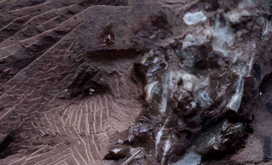 Scientists Discover 290-Million-Year-Old Vomit Fossil, and It’s Older Than Dinosaurs!