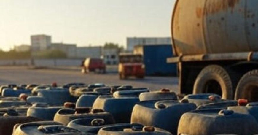 Leaked Audio: Top Mexican Navy Officials Conspire to Cover Up Fuel Smuggling Operation