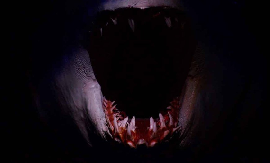 Scientists Discover Fossils of a Dagger-Toothed Sea Monster in Morocco That Ruled the Oceans Before the Asteroid Hit