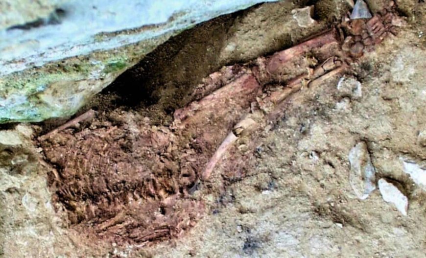 Neither Sapiens nor Neanderthal: Scientists Finally Reveal the Truth About This 28,000-Year-Old Child