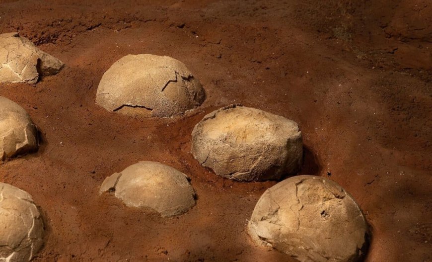 These Ancient Dinosaur Eggs Reveal Exactly When Fossils Were Buried Across Massive Rock Formations
