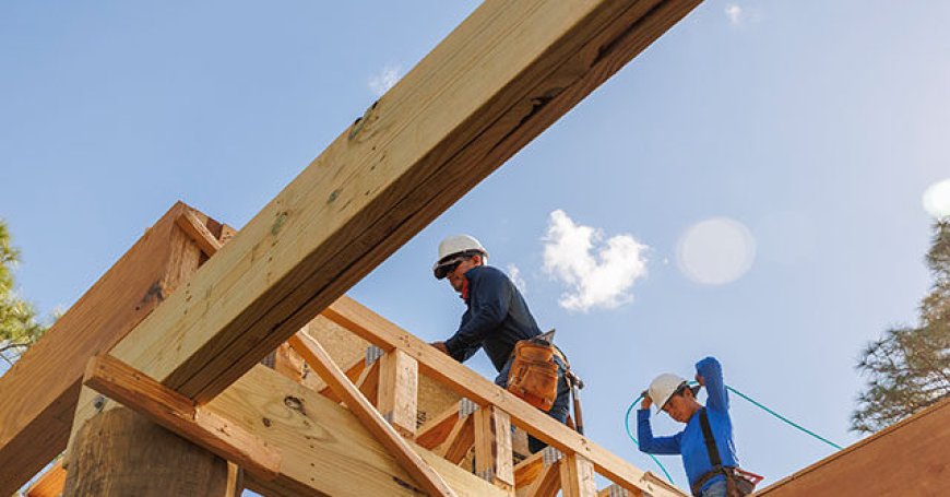 Texas Companies Cut Migrant Hiring