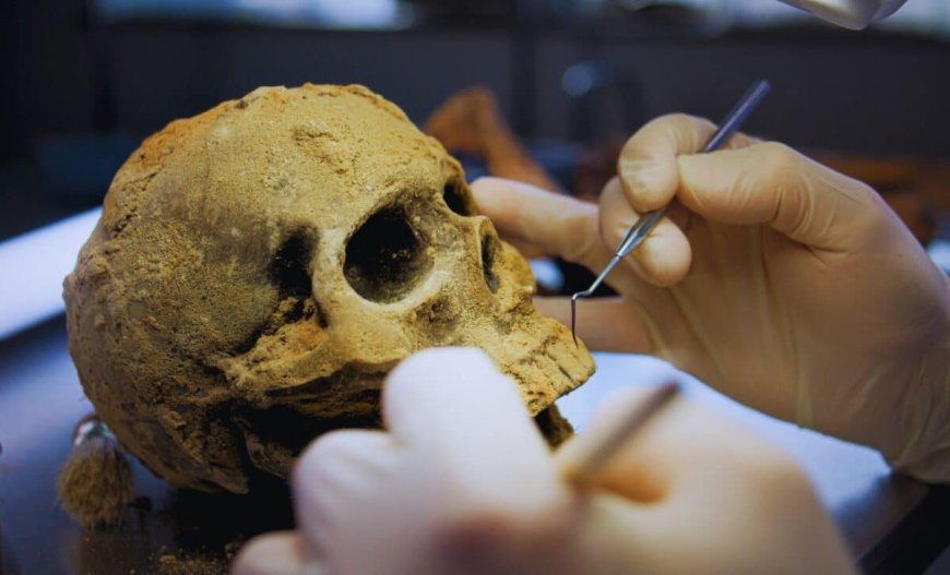 A Team in China Just Redated the Oldest Human Skulls, And Discovered a New Identity