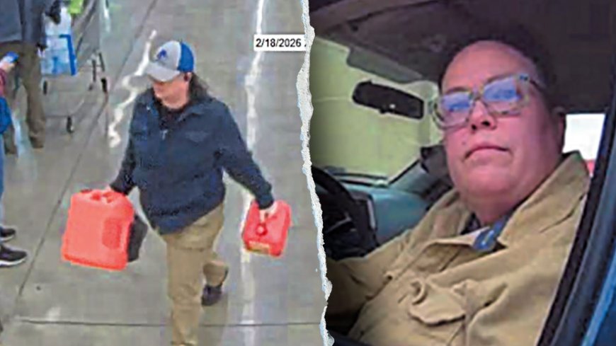 Idaho woman accused of attempting to set fire to DHS building with stolen ambulance