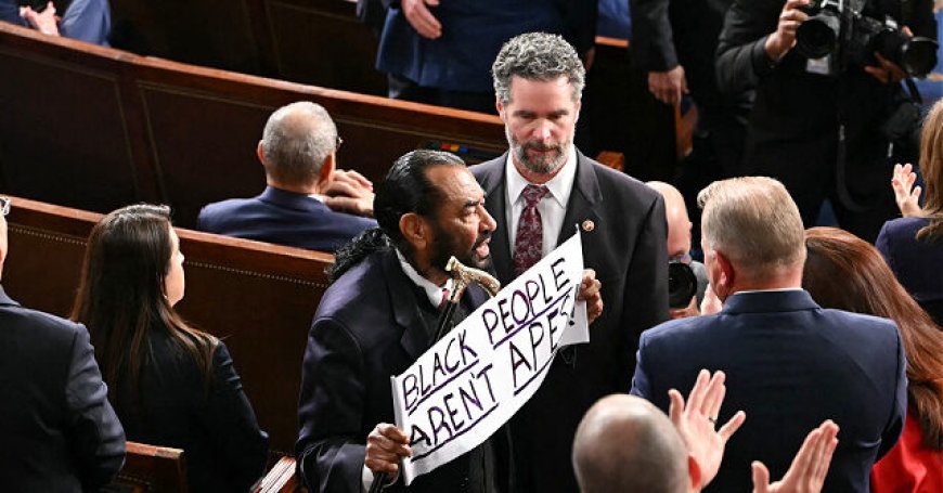WATCH: Democrat Rep. Al Green Removed for Protest Sign During Trump's SOTU