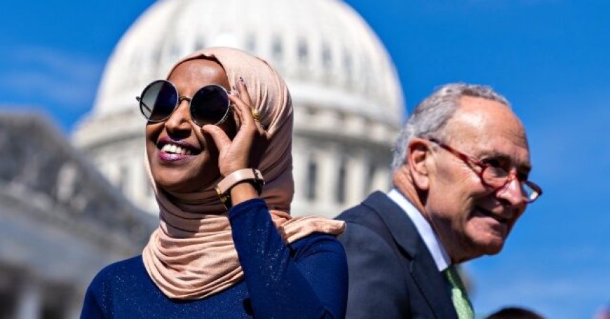 Democrats Bring Anti-ICE Activists, Illegal Aliens as Guests of Honor to State of the Union