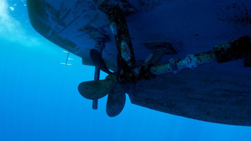 The nights got louder in the ocean: a hidden sound trap suddenly showed up where nobody expected it