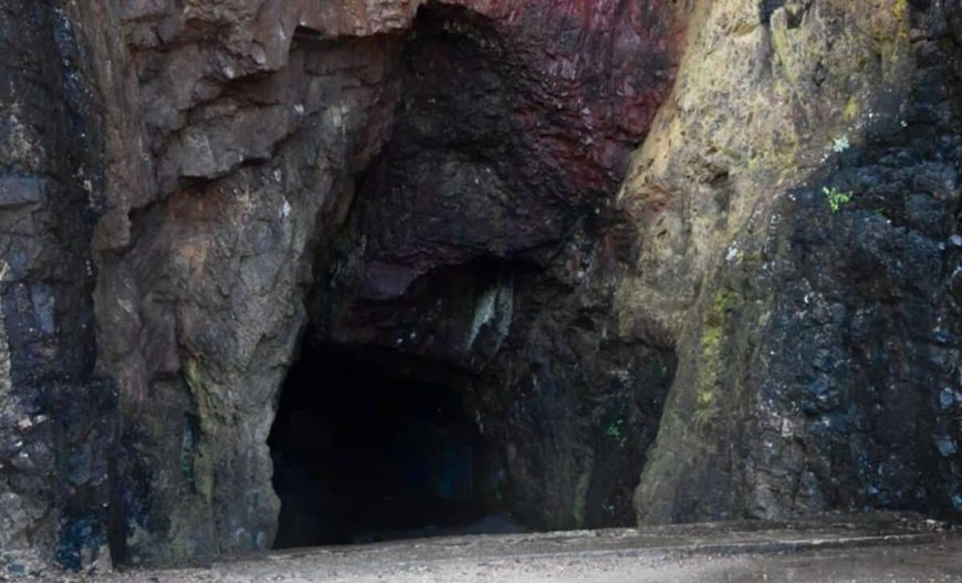 In 1940, a Boy Followed His Dog Into a Tree Hole and Found a 17,000-Year-Old Secret Cave Full of Ancient Art
