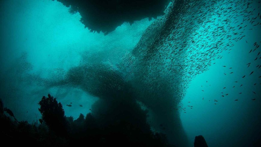 It’s enough to power the entire New York City for 1,000 years — Experts find “historic” reservoir under the East Coast