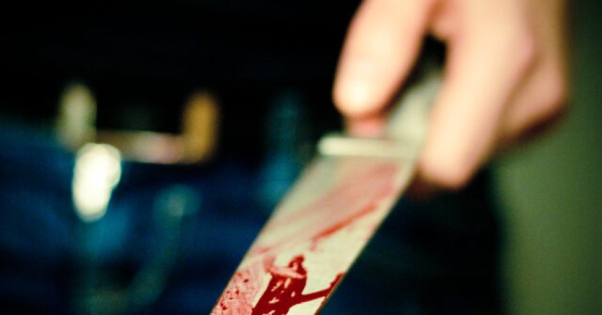 Four Innocents Killed in Washington Mass Stabbing