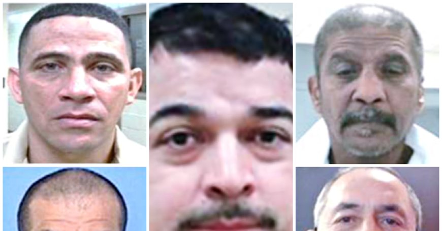 ICE Agents Arrest Child Predators, Rapists as Democrats Refuse to Stand for Americans Over Illegals