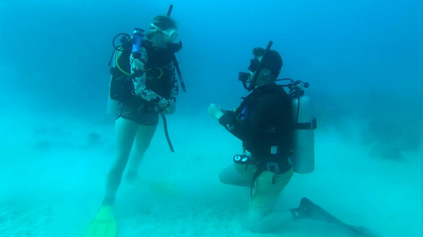 Diver drops to one knee 100 feet underwater in breathtaking Fiji shipwreck proposal
