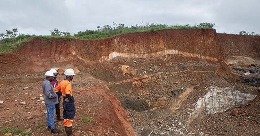 Zimbabwe Bans Mineral Exports Due to ‘Continued Malpractices’