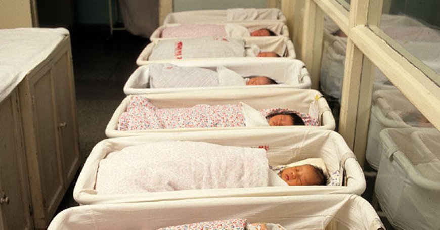 'National Security Risk': Sens. Cotton, Scott Demand Investigation into Chinese Surrogacy Schemes