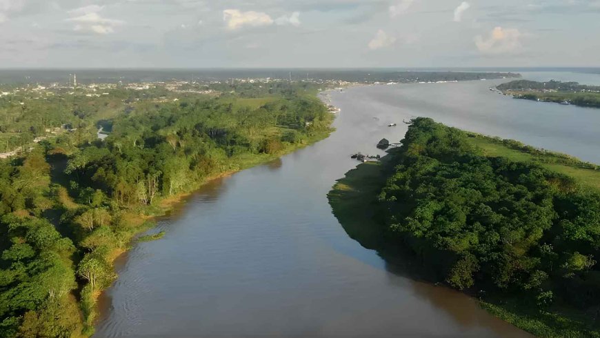 Goodbye to mining in the heart of the jungle: Colombia makes history by declaring its entire Amazon region free of hydrocarbons and mega-mining