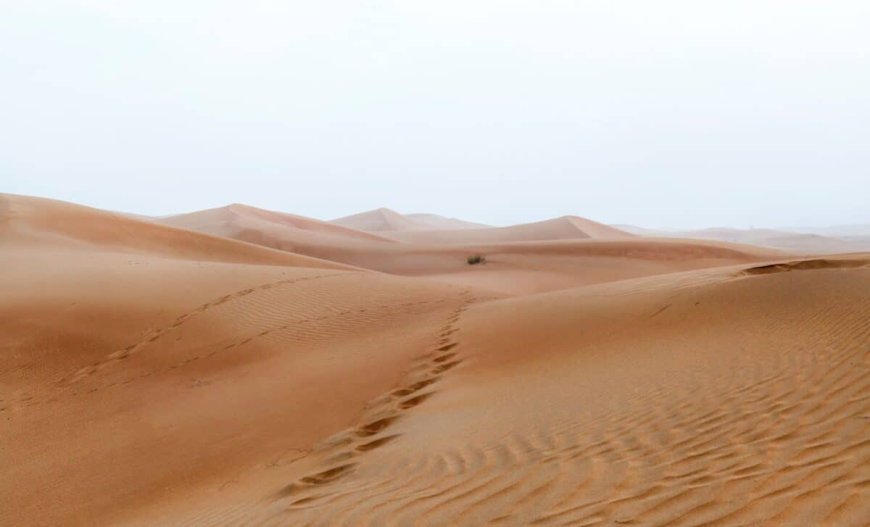 A Chinese Team Just Found a Way to Turn Desert Sand Into Soil Without Planting A Single Tree