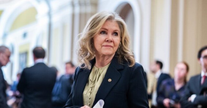 Exclusive: Marsha Blackburn Issues 'Migrant Crime Reporting Act' to Have States Publicly Track Crimes Committed by Illegal Aliens