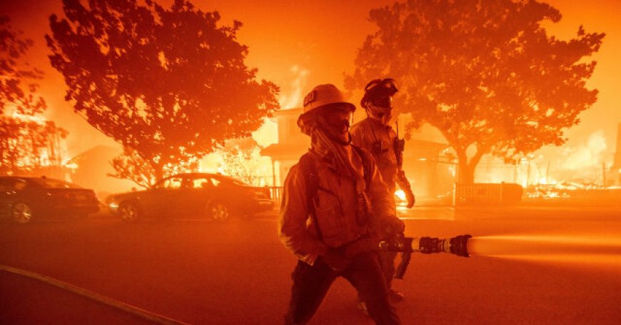 L.A. Firefighter: Fire that Sparked Palisades Inferno Was Not Extinguished, Captain Ignored Warning