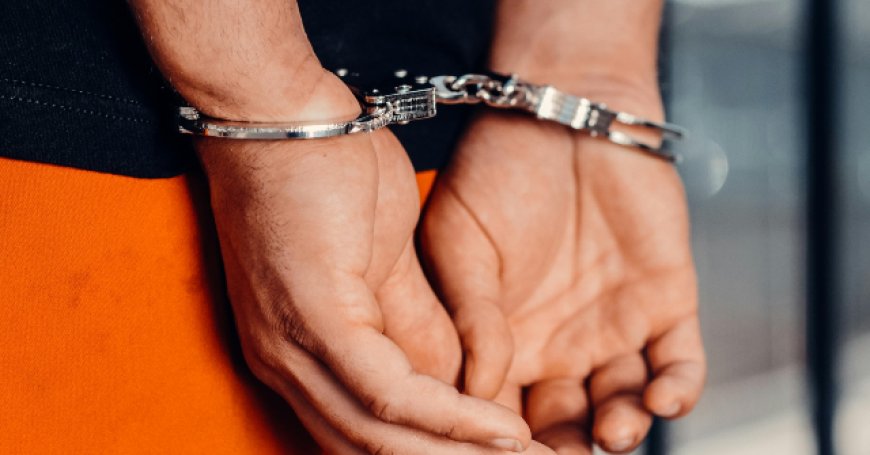 Child Predator, 64, Jailed in Another County for 30-Year-Old Crime Just Before Being Freed Under California 'Elderly Parole' Law