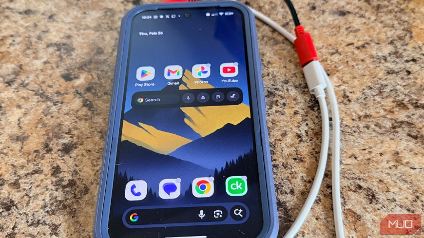 I never charge my phone in public without this cable