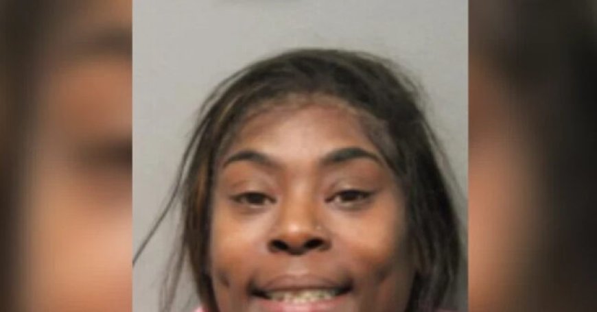 VIDEO: Woman Accused of Murdering Uber Eats Driver with His Van in Chicago Is Career Criminal