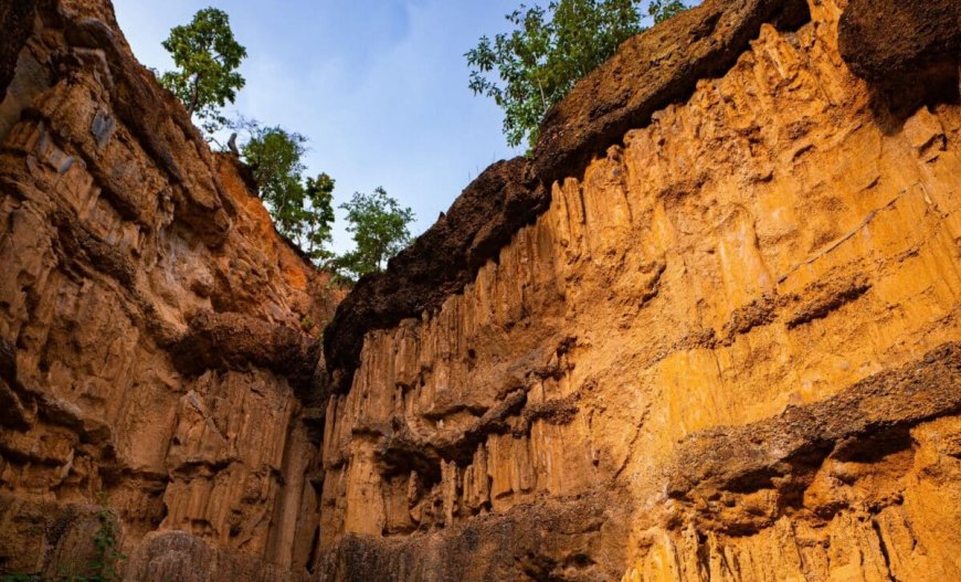 Archaeologists Just Found the Oldest Petroglyphs Ever Carved in a Remote Canyon