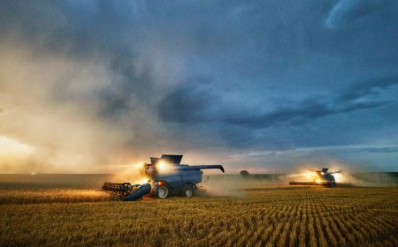 Trump’s War on Iran Could Screw Over US Farmers