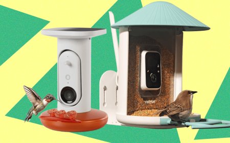 The Smart Bird Feeders Everyone’s Talking About (and Actually Buying) (2026)