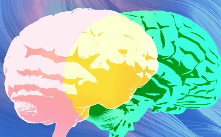 Grammarly’s ‘expert review’ is just missing the actual experts