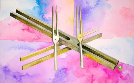 Soft Forks: How Agent Skills Create Specialized AI Without Training