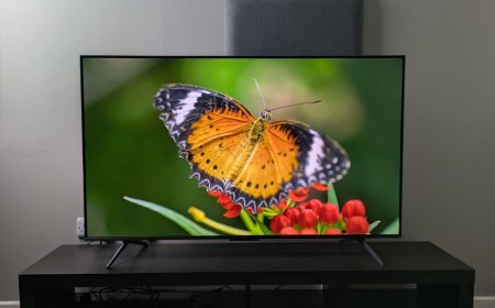 The TCL C6K is 'a cheap mini-LED TV that's very good value for money' — and now it's down to a record-low price