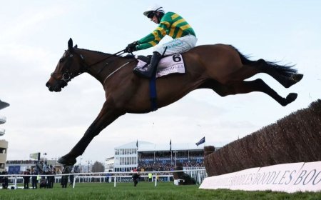 How to watch Cheltenham Festival 2026 for *FREE* — Live Stream National Hunt racing live from anywhere